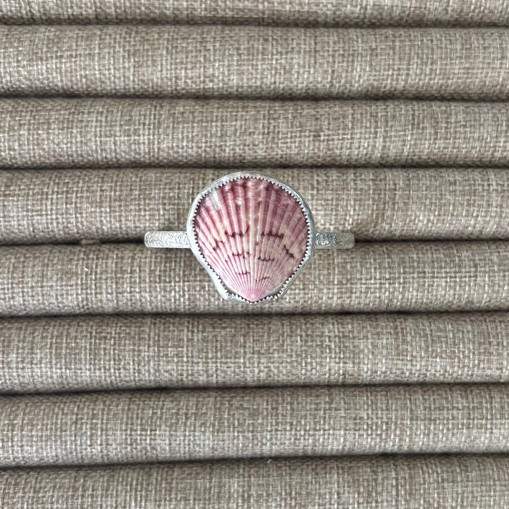 Seashell cuff