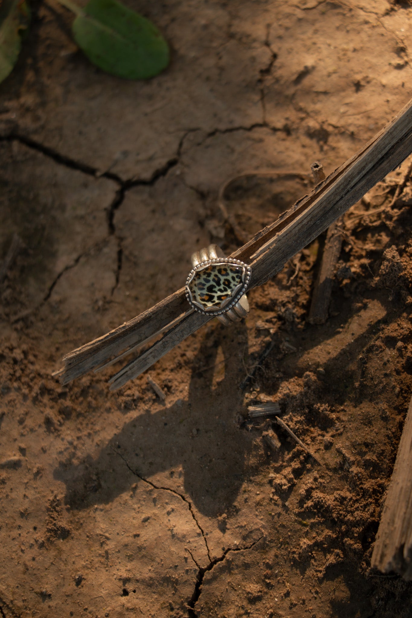 Cheetah print ring